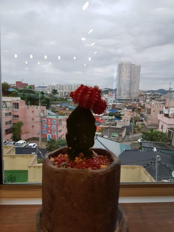 White Windmill Guesthouse Mokpo Buitenkant foto